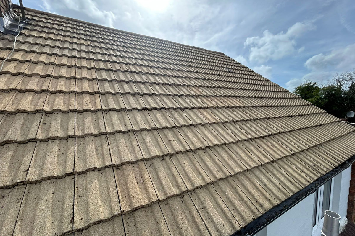 LilyPad-Roof Cleaning 01