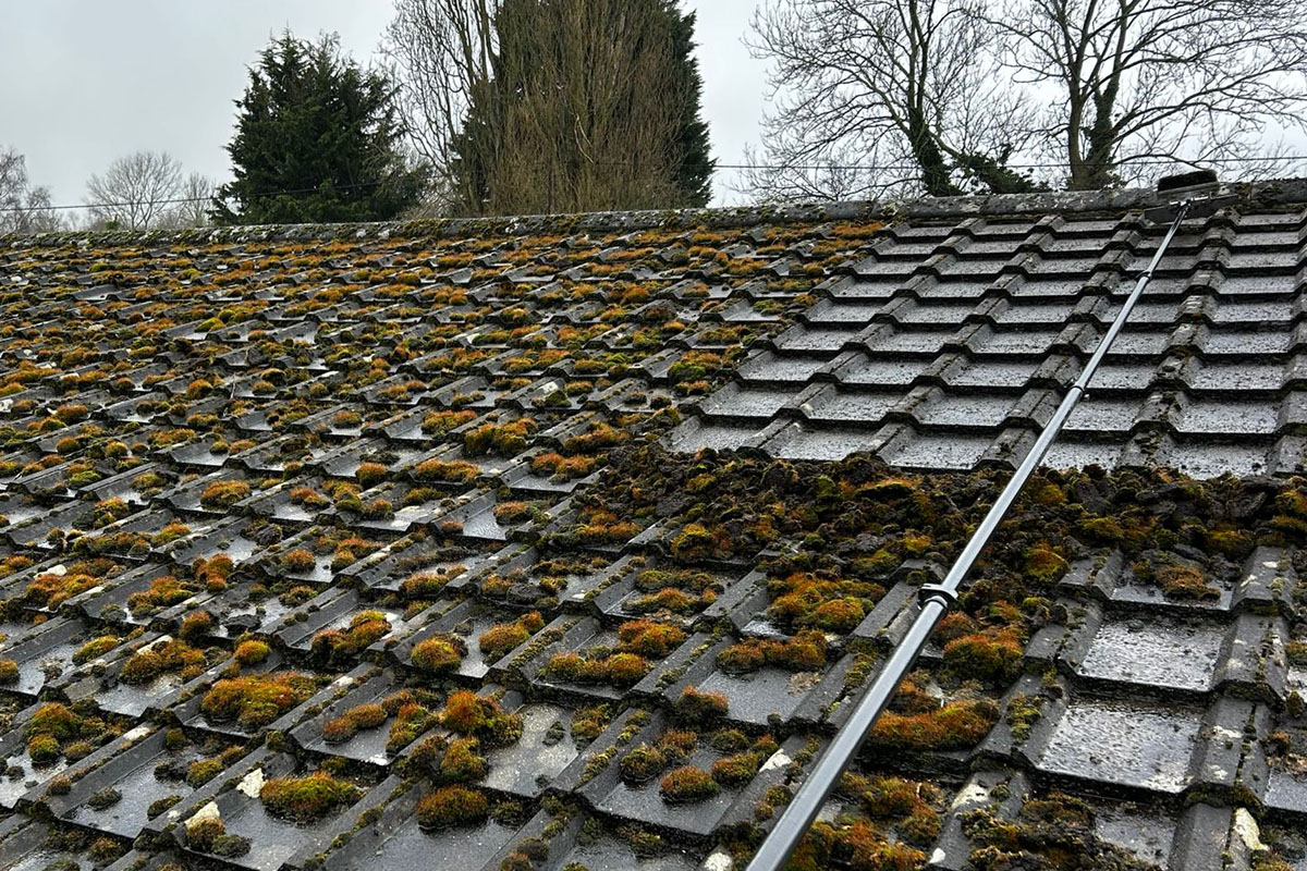 LilyPad-Roof Cleaning 02 LilyPad-Roof Cleaning 02