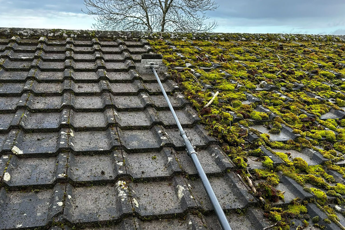 LilyPad-Roof Cleaning 04