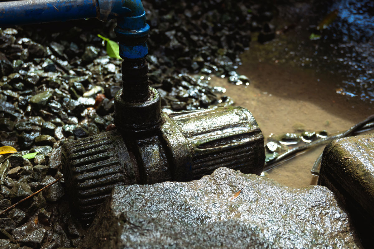 LilyPad Filter maintenance01