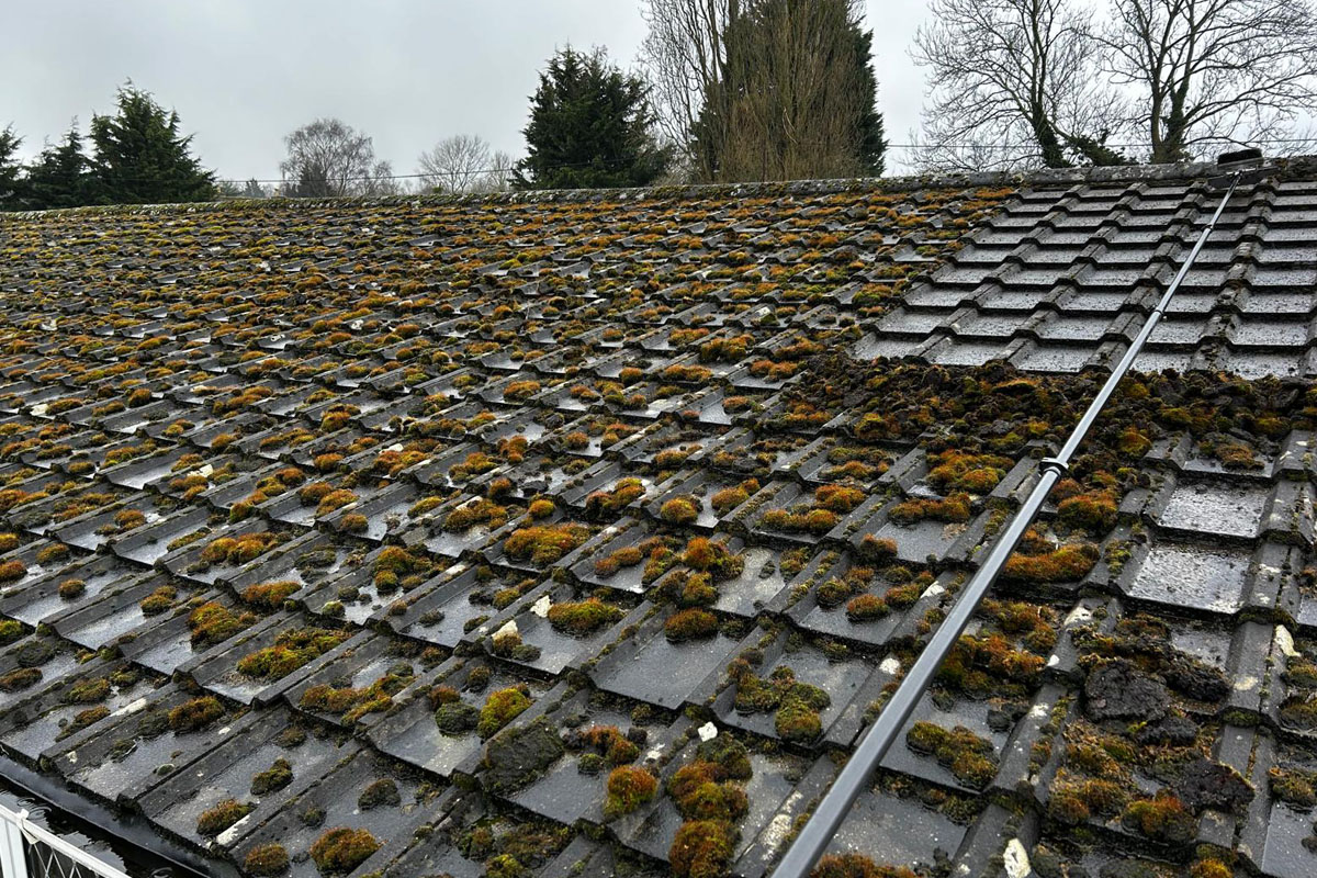 LilyPad Roof Scrape East Farleigh, Maidstone 02