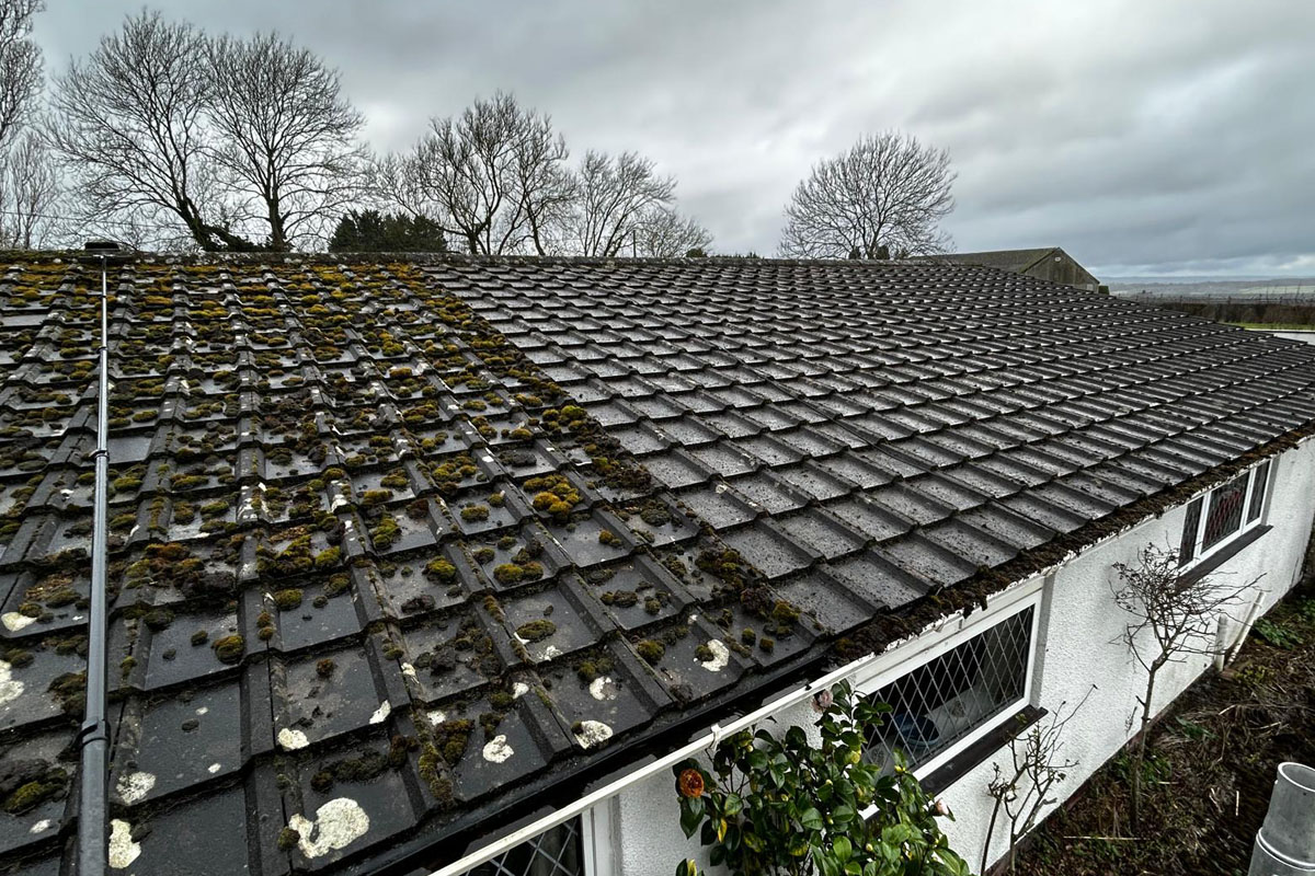 LilyPad Roof Scrape East Farleigh, Maidstone 04