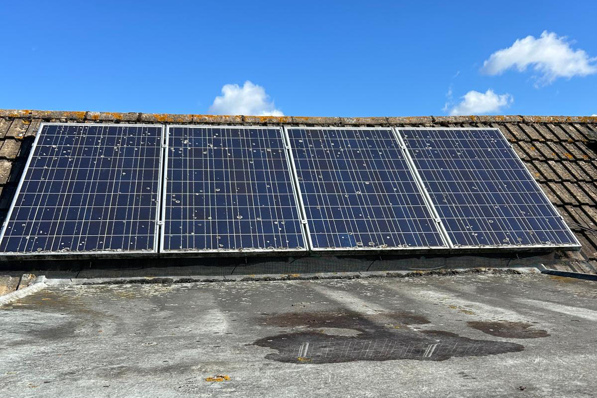 LilyPad Solar Panel Cleaning, Rainham 02