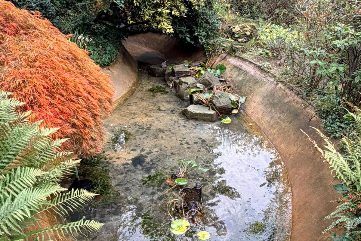 LilyPad Pond Clean, Oxted 02