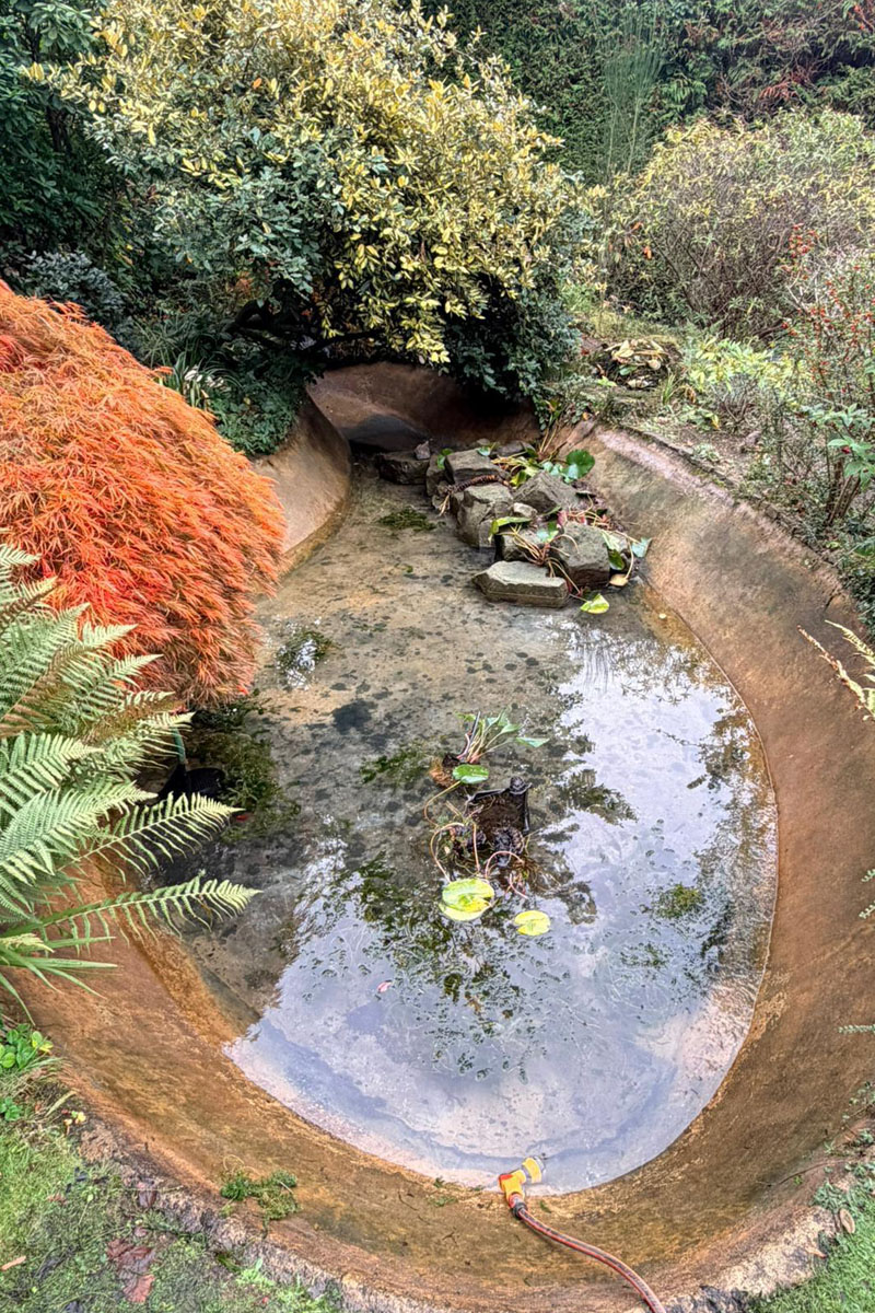 LilyPad Pond Clean, Oxted tall 01