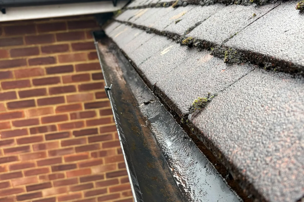 LilyPad Gutter Ceeaning-After