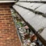 LilyPad Gutter Ceeaning-Before