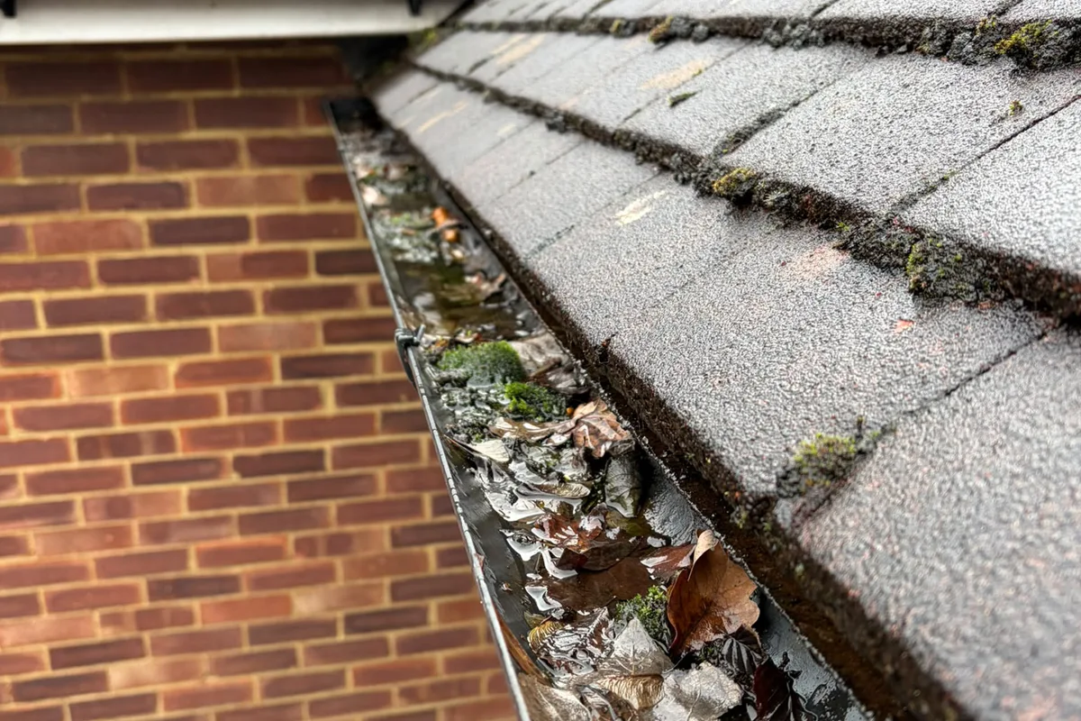 LilyPad Gutter Ceeaning-Before